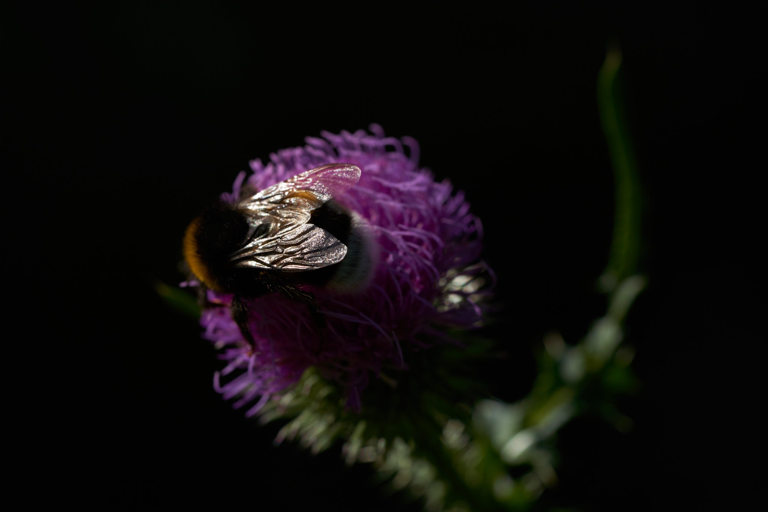 Landschaftspark Nord 0183